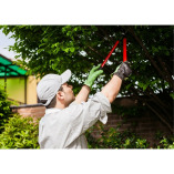 Port City Tree Service