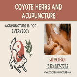 CoyoteHerbstx09