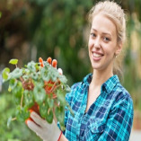 Warehouse driveway cleaning