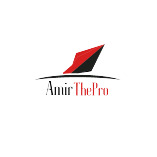 Amir The Pro