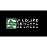 Wildlife Removal Services