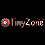 Tinyzone City