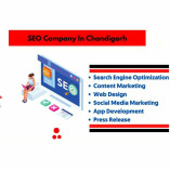 Seo company in Chandigarh