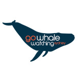 Go Whale Watching