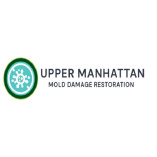 Upper Manhattan Mold Damage Restoration