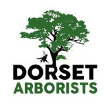 Dorset Arborists
