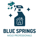 Blue Springs Mold Remediation Solutions