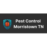 Pest Control Morristown TN