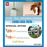 Carpet Cleaner Kingwood