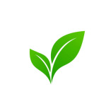 Green Leaf Eco Store