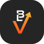 BL VermögensKonzepte GmbH logo