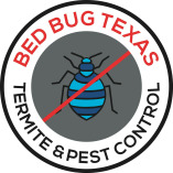 Bed Bug Texas