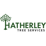 Hatherley Tree Services