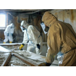 Asbestos Removal Specialists Ltd