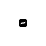 Nicolai GmbH logo