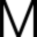 MINERVA Verlag® GmbH & Co. KG logo