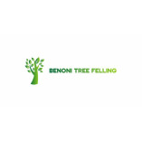 Benoni Tree Felling