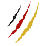 Schöller special machines GmbH & Co.KG logo