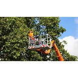 Meadow Hills Tree Service