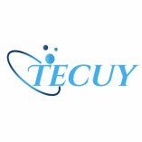 Tecuy Inc.