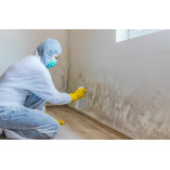 CLT Mold Inspections