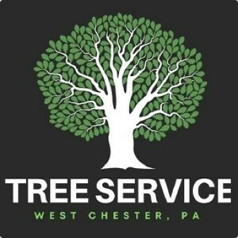 Tree Service West Chester Reviews & Experiences