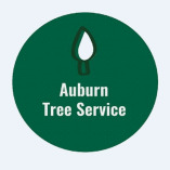 Tree Service Auburn AL