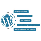 WordPress Development Agency