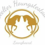 Seelter Houngstestaal Loanghoarst gbR logo