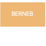 Berneb logo