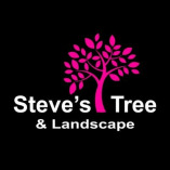 Steves Tree and Landscape