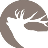 Platzhirsch Wohnimmobilien GmbH logo