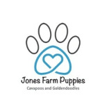 Jones Farm Puppies