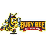 Busy Bee Pest Solutions
