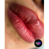 Deena Cosmetics Asheville Studio