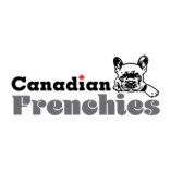 Canadian Frenchies