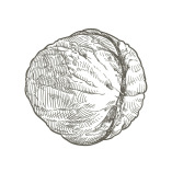 utopie und praxis . Werbe- und Grafikdesign