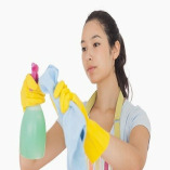 Carpet Steam Cleaner