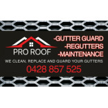 Pro Roof Gutter Guard