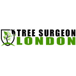 Tree Surgeon London