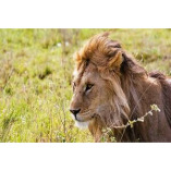 Foot Slopes Tanzania Private Guided Safaris