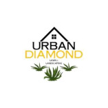 Urban Diamond Lawn