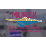 Murex Qatar Tours