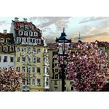 Immobilie Dresden