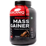 Best Mass Gainer in India