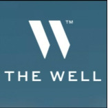 THE WELL