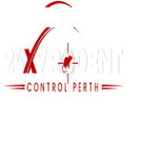 247 Rodent Control Perth