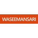 Waseem Ansari - Helping US-based Sports Gear Stores Boost Online Sales & Visibility