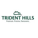 Trident Hills Panchkula | Luxury Residential Project in Panchkula