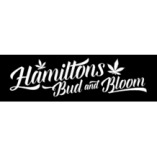 Hamiltons Bud And Bloom